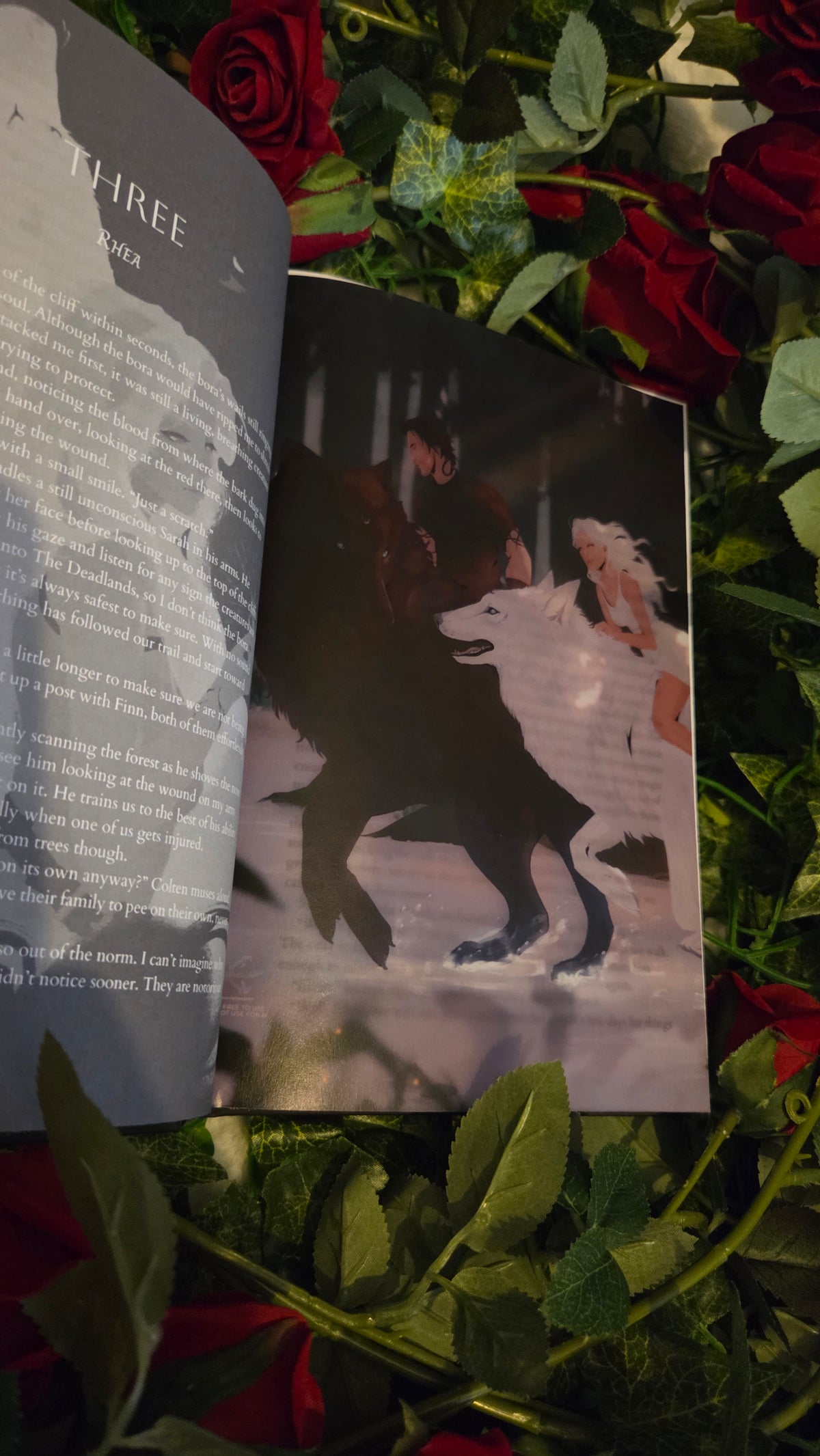Hardcover Overlay - Rhea and Darius wolves